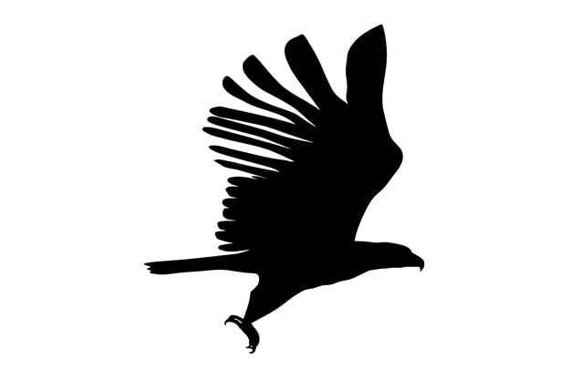 The Eagle Symbol